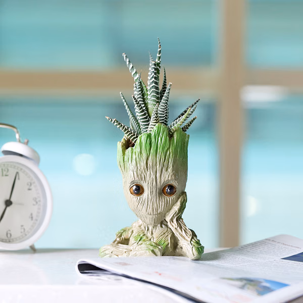 Haworthia Succulent In A Groot Planter