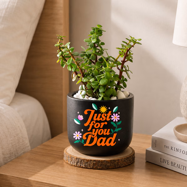 Jade Plant With Clay Planter For Dad